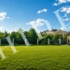 thumb_image_2