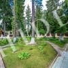 thumb_image_37