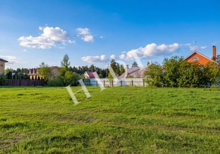 product_image_1