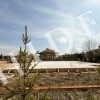 thumb_image_7