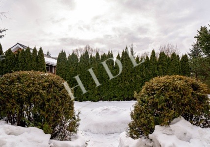 product_image_30