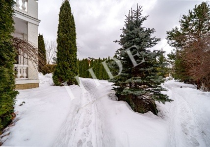 product_image_71