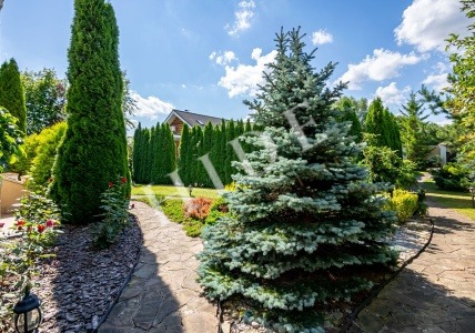 product_image_7