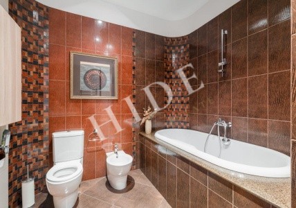product_image_43