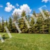 thumb_image_69