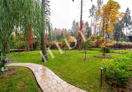product_image_12