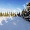 thumb_image_39