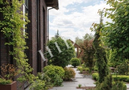 product_image_37