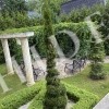 thumb_image_22