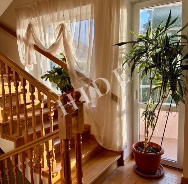 product_image_1