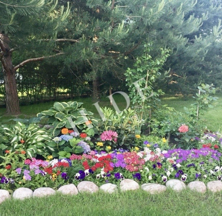 product_image_17