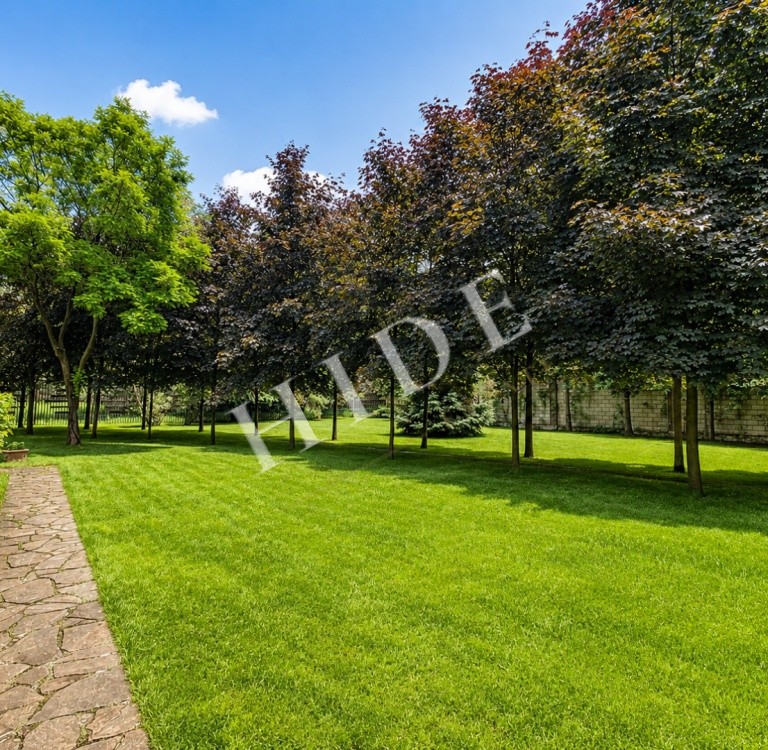 product_image_45