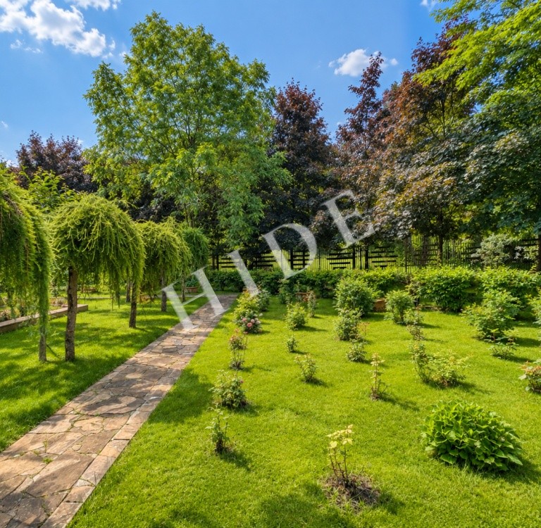 product_image_46