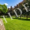 thumb_image_45