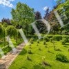 thumb_image_46