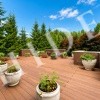 thumb_image_42