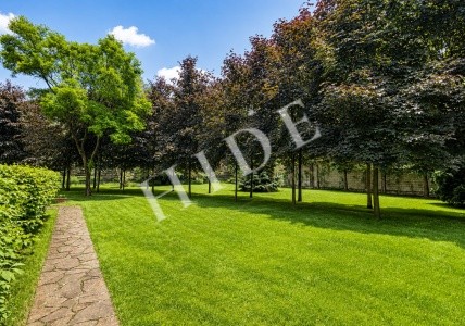 product_image_45