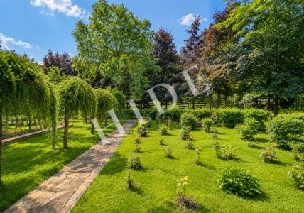 product_image_46