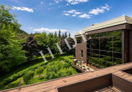 product_image_41