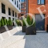 thumb_image_17