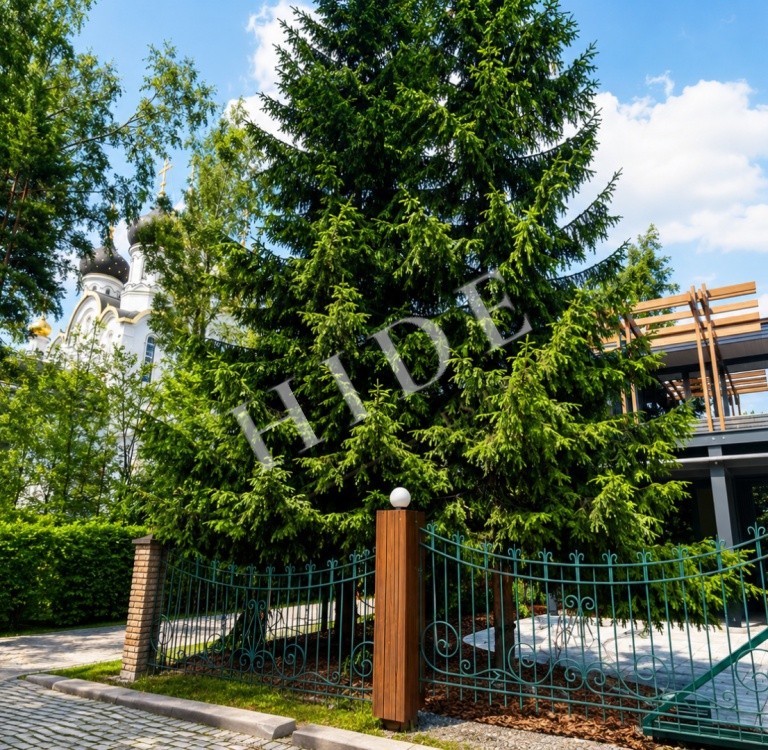 product_image_26
