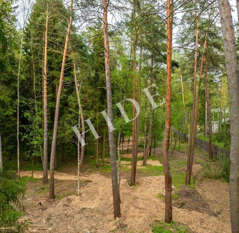 product_image_2