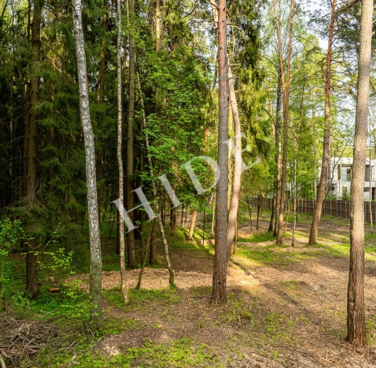 product_image_3