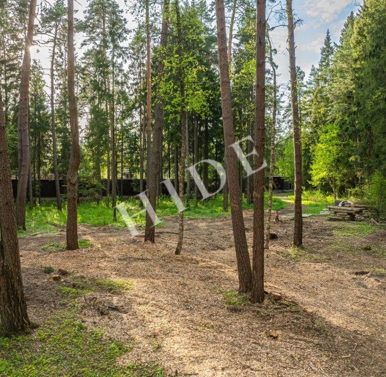 product_image_8