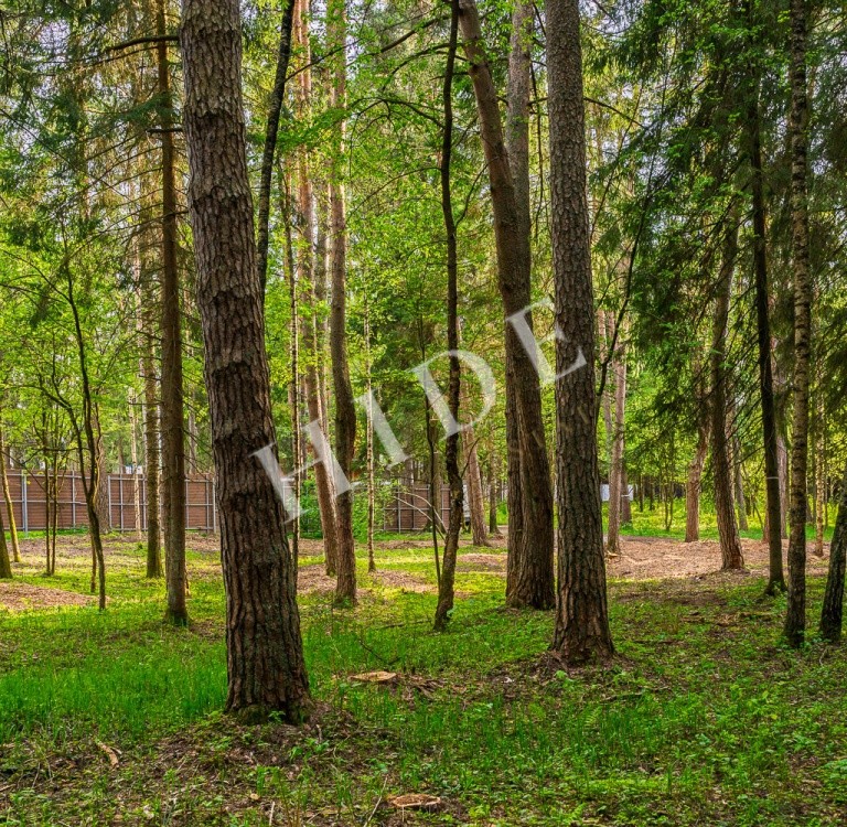 product_image_0
