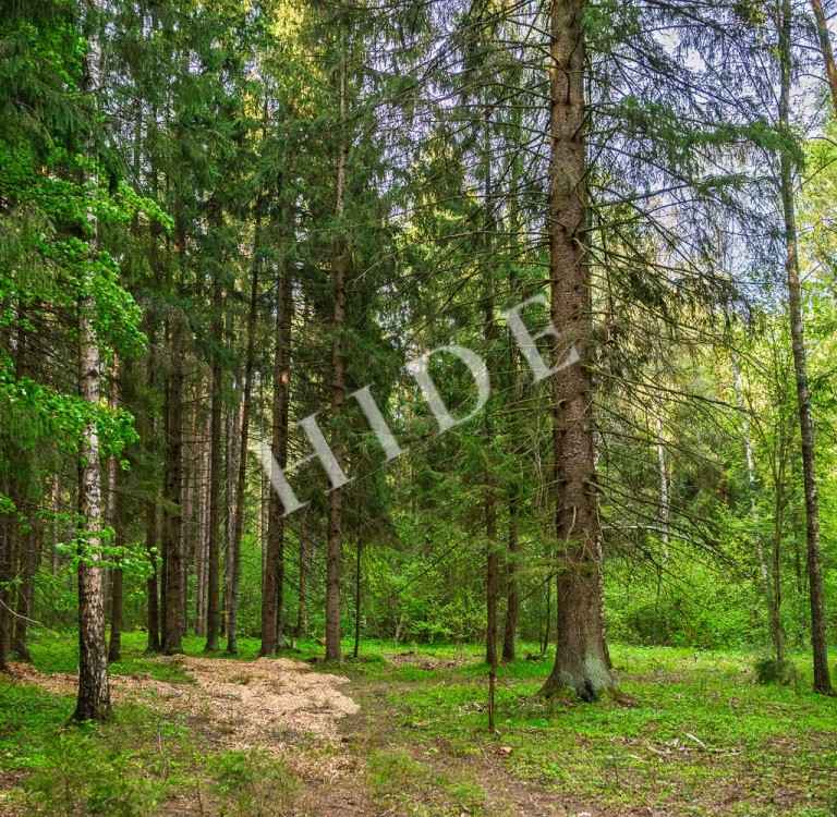 product_image_1