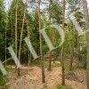 thumb_image_2