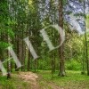 thumb_image_1