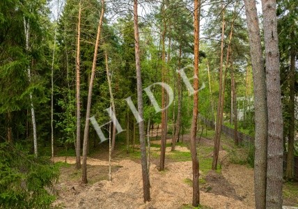 product_image_2