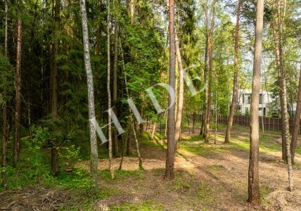 product_image_3