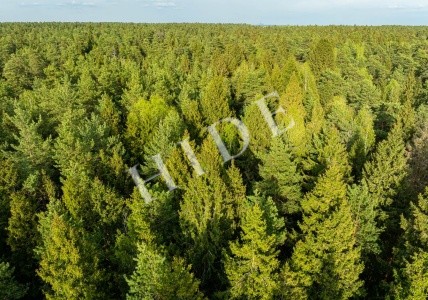 product_image_6