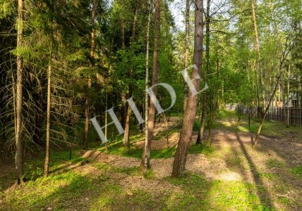 product_image_7