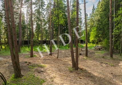 product_image_8