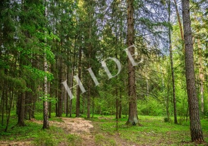 product_image_1