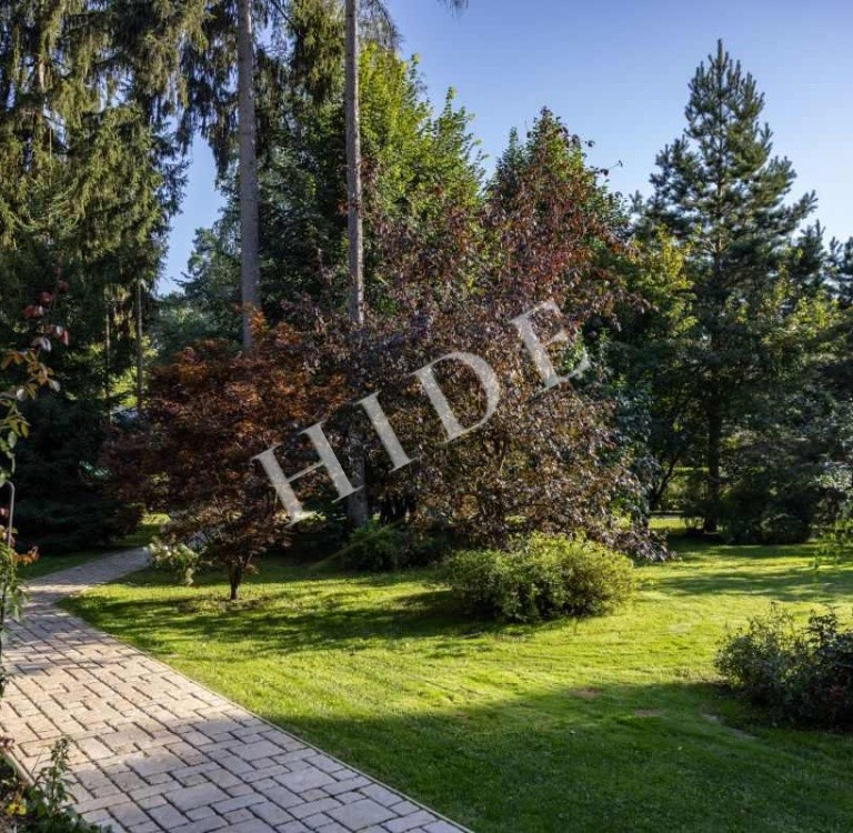 product_image_35