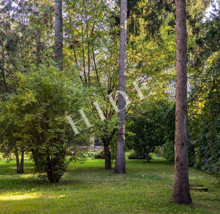 product_image_36