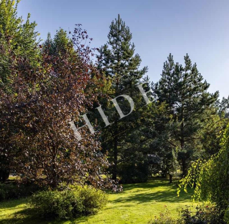 product_image_37