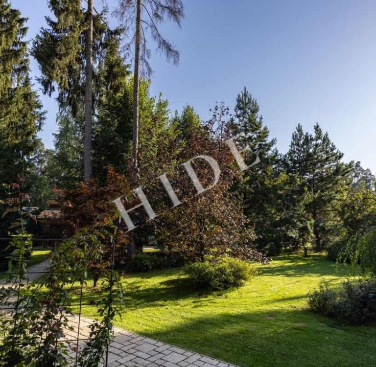 product_image_48