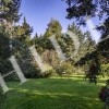 thumb_image_38