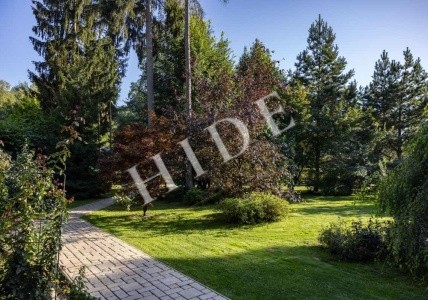 product_image_35