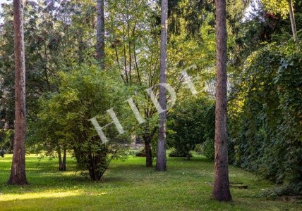 product_image_36