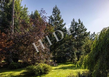 product_image_37