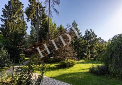 product_image_48