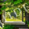 thumb_image_21