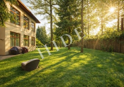 product_image_1