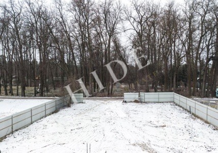 product_image_10